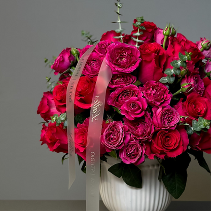 Fuchsia Bliss Radiant Roses